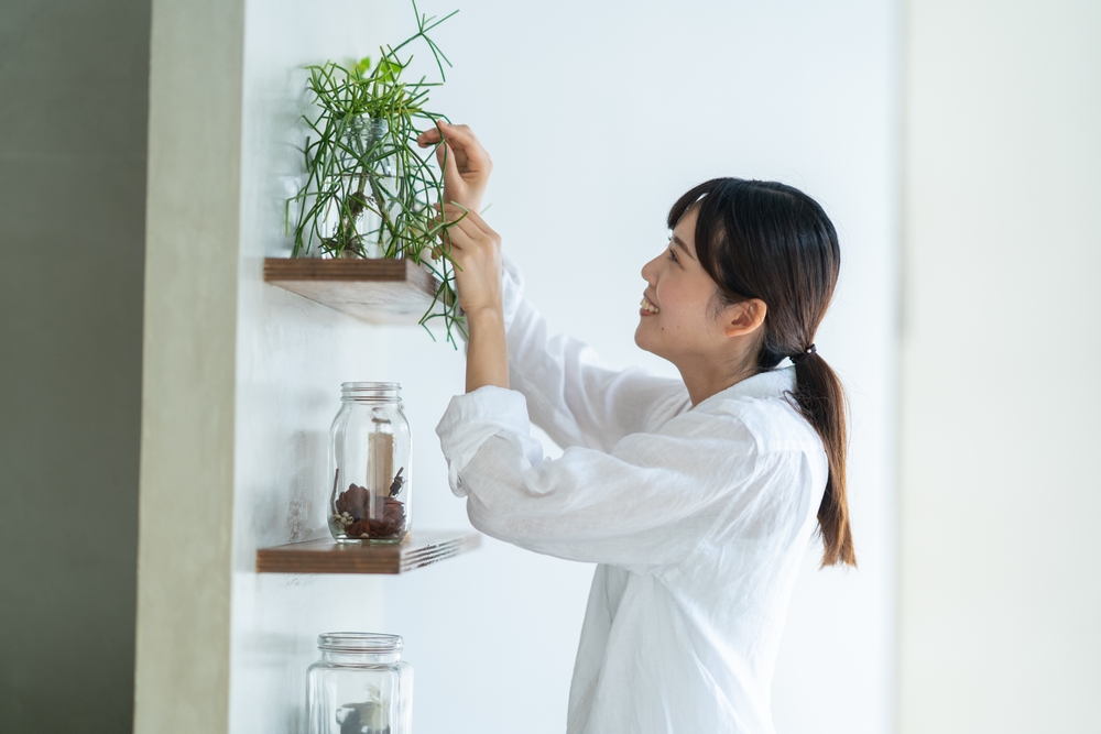 千代田区の結婚相談所を比較してみよう！ランキングを知って婚活をスタート！
